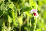 怎么样给公司起名字