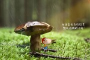 周易公司起名怎么起