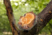 鋡怎么查字典取名字