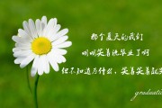 取名字什么字典好记